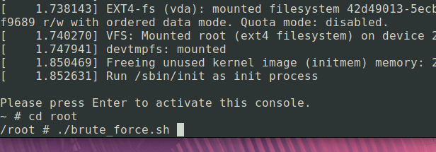 Brute forcing the flag